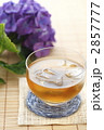 氷と麦茶