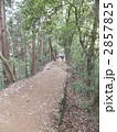 高尾山の登山道