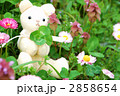 デイジーと四つ葉を持つぬいぐるみ～横