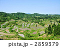 星峠の棚田 