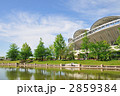 新潟県スポーツ公園春
