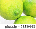 ライム