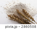 小麦粉