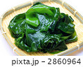 生ワカメ