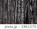 2861270