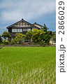 米田んぼ