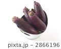 ナス