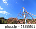 ジャングルジム ジャングルジム