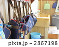 幼稚園　並んだ鞄