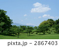 青い空、白い雲、緑の木々