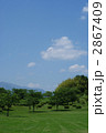 青い空、白い雲、緑の木々
