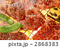 2868383