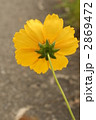 2869472