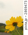 2869473
