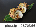 サザエ
