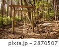 逢坂峠の鳥居 逢坂峠の鳥居