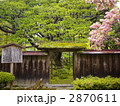 京都 大原 宝泉院のゴヨウマツ