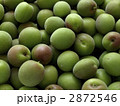 青梅