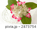 アンティークのガラス皿と山紫陽花