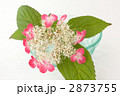 アンティークのガラス皿と山紫陽花
