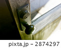 2874297
