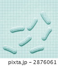 2876061