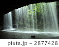 新緑の鍋ヶ滝