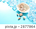 夏イメージ