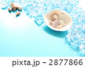 夏イメージ