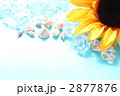 夏イメージ