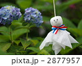 雨よ、上がれ！