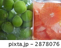 2878076