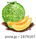 melon11618pix.