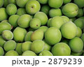 収穫された青梅俯瞰