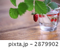 2879902