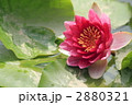2880321