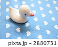 かわいい小鳥
