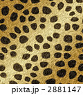 2881147