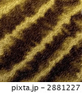 2881227