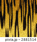 2881514