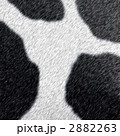 2882263