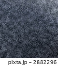 2882296