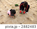 芝植え