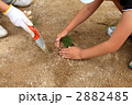 芝植え