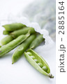 野菜