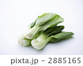 野菜
