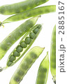 野菜