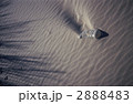 2888483
