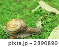 2890890