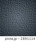 2891114